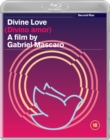 Image for Divine Love