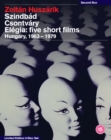 Image for Zoltán Huszárik: Szindbád, Csontváry & Elégia: Five Short Films