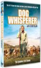 Image for Dog Whisperer: The Complete First Season