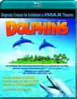 Image for IMAX: Dolphins