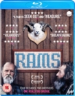 Image for Rams