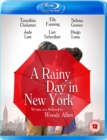 Image for A   Rainy Day in New York