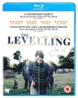 Image for The Levelling
