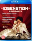 Image for Eisenstein in Guanajuato