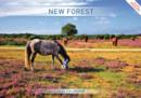Image for NEW FOREST A4 2016 CALENDAR
