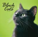 Image for BLACK CATS W 2016 CALENDAR