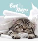 Image for CAT NAPS EASEL