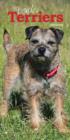 Image for BORDER TERRIERS SLIM D 2016 DIARY