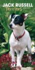 Image for JACK RUSSELL TERRIERS SLIM D 2016 DIARY