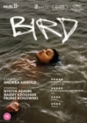 Image for Bird