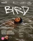 Image for Bird