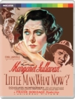 Image for Little Man, What Now?