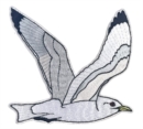 Image for Kittiwake Sew On Patch