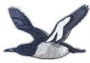 Image for Guillemot Sew On Patch