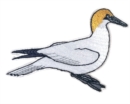 Image for Gannet Sew On Patch