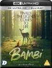 Image for Bambi: A Tale of Life in the Woods