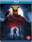 Image for Winnie the Pooh: Blood and Honey