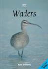 Image for Waders