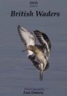 Image for British Waders