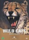 Image for Safari: Wild Cats