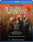Image for Cavalleria Rusticana: Maggio Musicale Fiorentino (Galli)