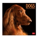 Image for Dogs Wall Calendar 2023