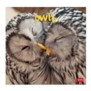 Image for Owls Wall Calendar 2023