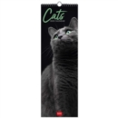 Image for Cats Wall Calendar 2023