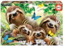 Image for Sloth family selfie