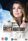 Image for Grey's Anatomy: Complete Twelfth Season