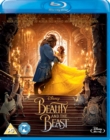 Image for Beauty and the Beast