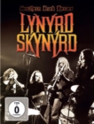 Image for Lynyrd Skynyrd: Southern Rock Heroes