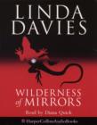 Image for Wilderness of Mirrors