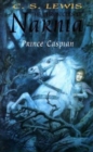 Image for The Prince Caspian