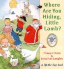Image for Where are You Hiding, Little Lamb?