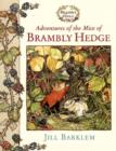 Image for Adventures of the Mice of Brambly Hedge