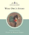 Image for Little Grey Rabbit: Wise Owl&#39;s Story
