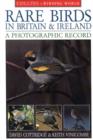 Image for Rare Birds of Britain and Ireland