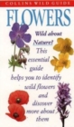 Image for Collins Wild Guide - Wild Flowers of Britain and Northern Europe