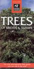 Image for A photographic guide to the trees of Britain and Europe