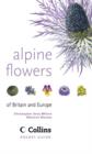Image for Alpine flowers of Britain and Europe