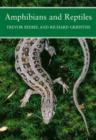 Image for Amphibians and reptiles  : a natural history of the British herpetofauna