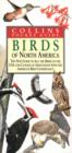 Image for Birds of North America