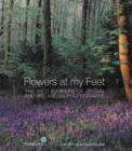 Image for Flowers at my feet  : the wild flowers of Britain and Ireland in photographs
