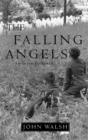 Image for The falling angels