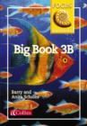 Image for Focus on Literacy : 3B : Big Book