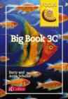 Image for Focus on Literacy : 3C : Big Book