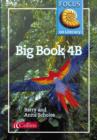 Image for Focus on Literacy : 4B : Big Book