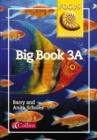 Image for Focus on Literacy : 3A : Big Book