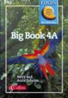 Image for Focus on Literacy : 4A : Big Book